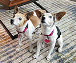 Virginia & Bella