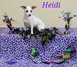 Heidi