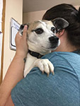 BCHS Female JRT