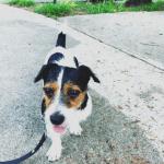 Winnie