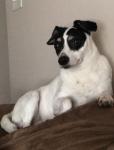 Molly