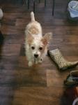 Charlie