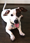 Sam