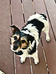 Rosie