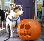 Buster