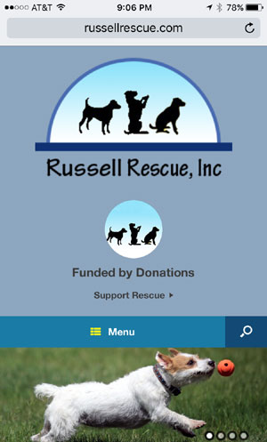 Russell Rescue Web Site Design