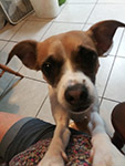 Lulla