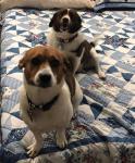 Charlie & Teddy