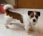 Baxter