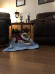 Carly
