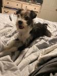 Roscoe