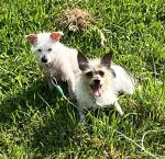 Benson & Esme
