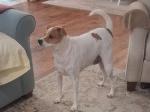 Charlie